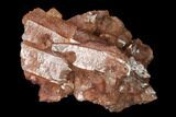 Natural, Red Quartz Crystal Cluster - Morocco #142926-1